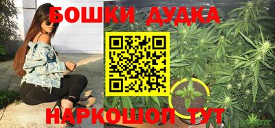 прущий лед Будённовск