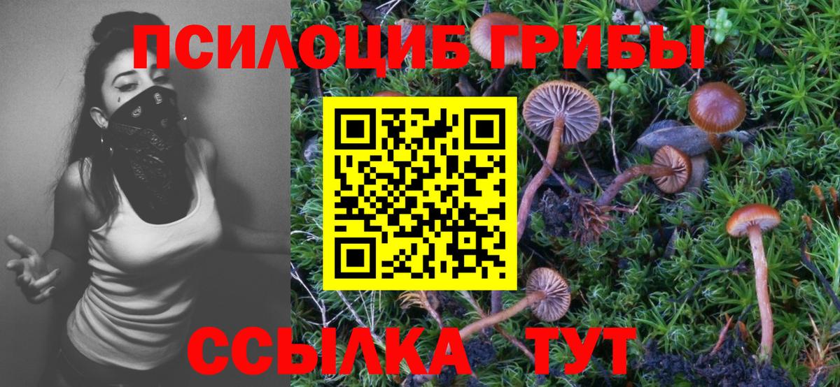 Псилоцибиновые грибы Psilocybe  Вход с VPN  Галлюциногенные грибы прущие грибы  сколько стоит  Соль-Илецк 
