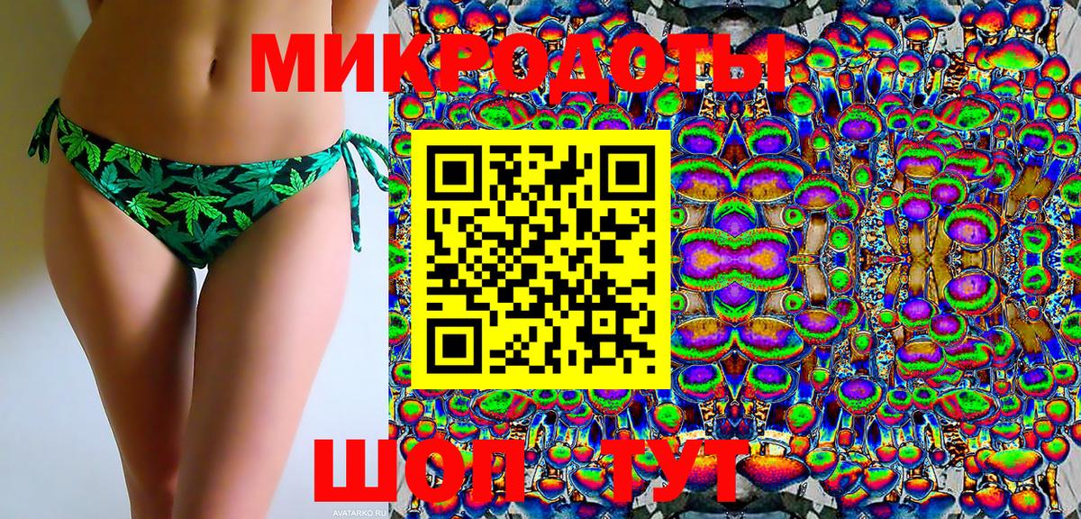 Псилоцибиновые грибы Cubensis Соль-Илецк